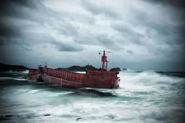 "Stranded container ship close to shore, evoking the bizarre story of a vessel appearing in a residential garden."