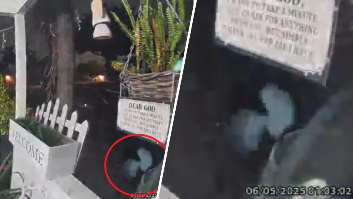 Terrifying Ring camera strange sighting captured on Compton porch